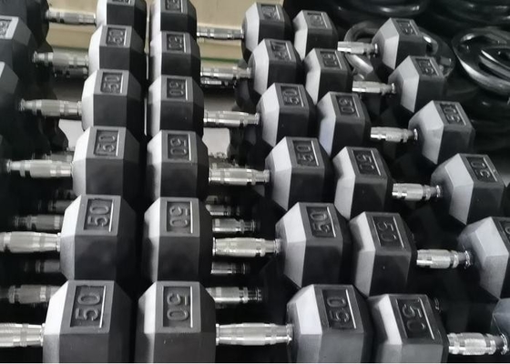 হোম রাবার Encased Hex Dumbbell 2 Pack 10LB Non slip ergonomic hand weight for muscle